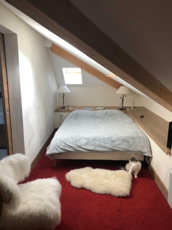 Penthouse "Bond 007" 120 M2 Piscine Sauna Risoul 1850 Eksteriør billede